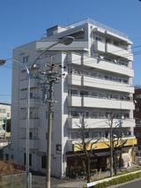 キクシンビル