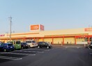 ザ・ビッグ　楠店(スーパー)まで300m Ｇ-ＰＬＡＣＥ282