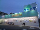 ドラッグスギヤマ中島新町店(ドラッグストア)まで448m ハピネスⅡ