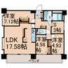 グラート岡崎 3LDK+Sの間取り