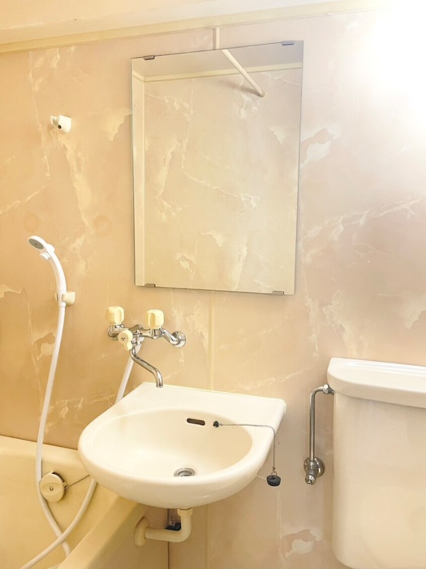 洗面 ﾗｲｵﾝｽﾞﾏﾝｼｮﾝ康生通第2(402)