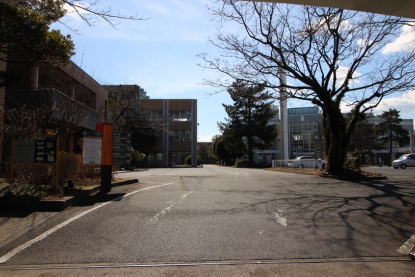 名古屋市立大学(大学/短大/専門学校)まで525m レジデンス上野