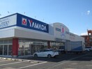 ヤマダ電機(電気量販店/ホームセンター)まで750m スタ－ライトＭ