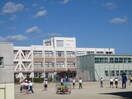 米野小学校(小学校)まで900m スタ－ライトＭ
