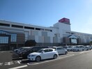 イオン(ショッピングセンター/アウトレットモール)まで900m スタ－ライトＭ