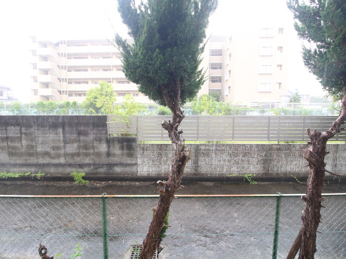 室内からの展望 コ－ポ東海