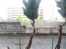 室内からの展望 コ－ポ東海