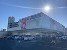 スギ薬局 向島店(ドラッグストア)まで650m サンパ－クⅡ
