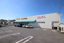 スギ薬局築地町店(ドラッグストア)まで315m クレーバームーン