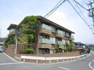 蜂の樹の外観