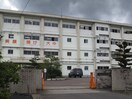 大和中(中学校/中等教育学校)まで756m プレミアム御影
