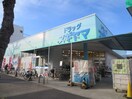 ドラッグスギヤマ(ドラッグストア)まで303m コンフォ－ト城西
