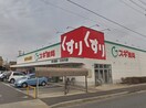 スギ薬局 野立橋店(ドラッグストア)まで513m ファミ－ル大山