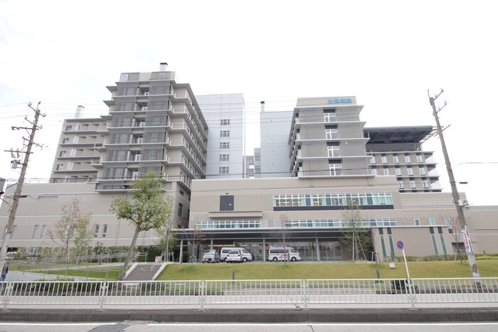 大同病院(病院)まで240m ﾌｧﾐｰﾙ柴田D・E棟