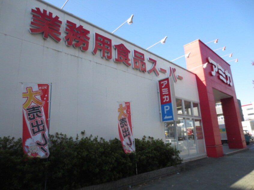 アミカ堀田店(スーパー)まで499m たつみコ－ポ