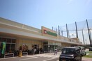 平和堂(スーパー)まで1300m 信和ハイツ