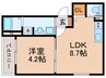 e-house 志賀本通 1LDKの間取り