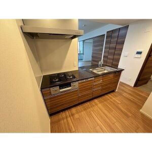 キッチン Brillia名駅二丁目(1102)