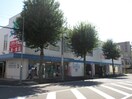 スギヤマドラッグ(ドラッグストア)まで354m ハウス１０８筒井