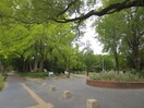 千種公園(公園)まで650m カレント今池