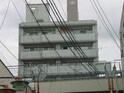 完成写真