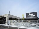 アント(電気量販店/ホームセンター)まで128m 長谷川ﾋﾞﾙ 92