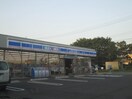 LAWSON　北区上飯田南町店(コンビニ)まで245m カサドフェリーヌ