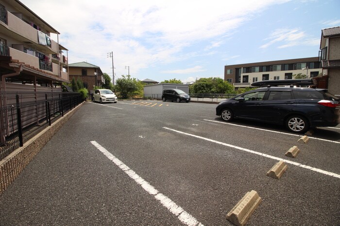 駐車場 ひまわり
