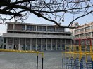 橘小学校(小学校)まで87m グレーシア上前津