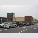 リーフウォーク(デパート)まで700m arcobaleno小井戸