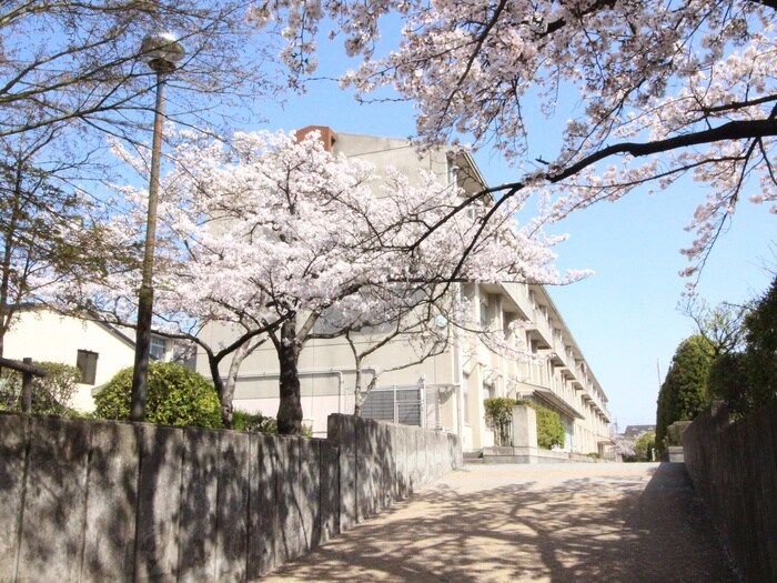 長久手市立南中学校(中学校/中等教育学校)まで470m シーズンコート杁ヶ池Ｂ棟