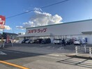 スギ薬局 東刈谷店(ドラッグストア)まで491m ひまわりハイツ