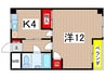 伊藤ビル 1Kの間取り