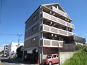 完成写真