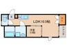 Miraile 1LDKの間取り