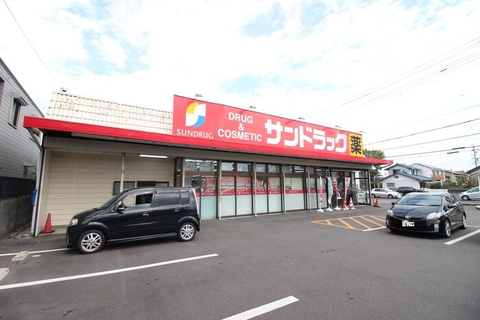 サンドラッグ美園店(ドラッグストア)まで380m タウン梨花