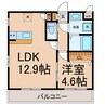 パレアージュⅡ 1LDKの間取り