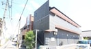 black berryの外観