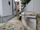 インディゴライトの外観