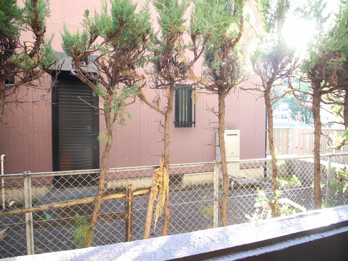 室内からの展望 メゾン柴田