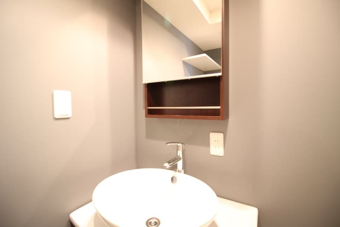 洗面 スプリングフォレスト壱番舘