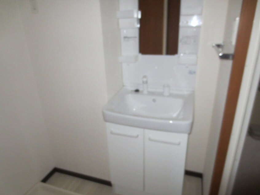 洗面 ライヒフロイデ