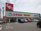 スギ薬局東海橋店(ドラッグストア)まで773m ヴィラシャンテ