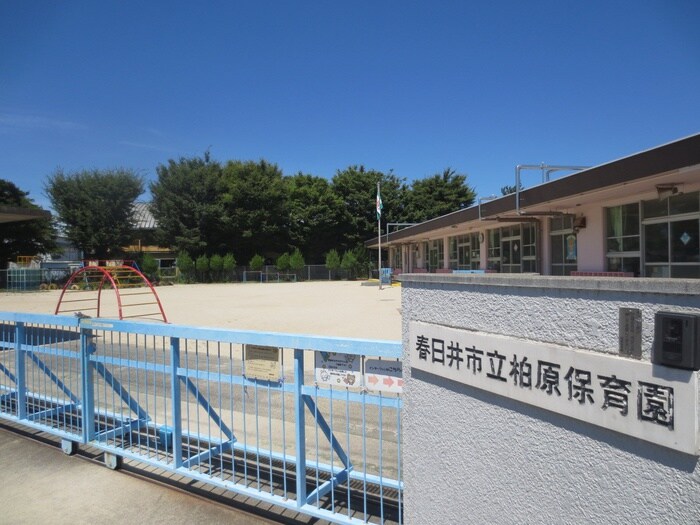 柏原保育園(幼稚園/保育園)まで449m サンハイツ朝宮