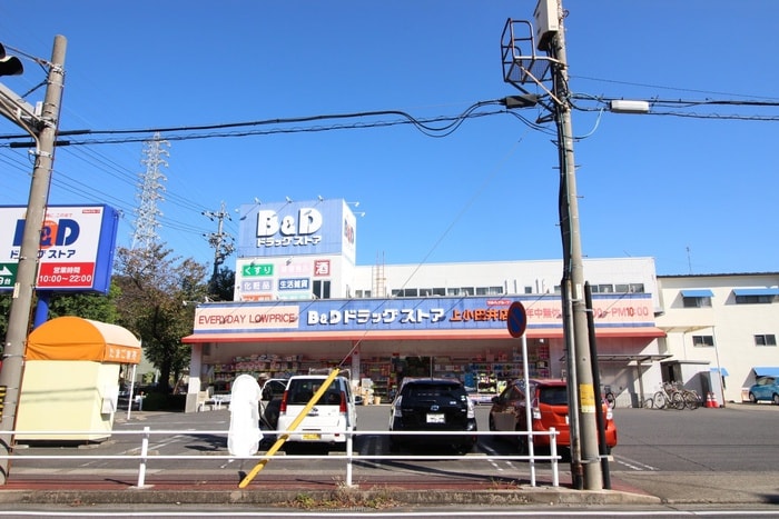 B＆D(ドラッグストア)まで650m フロースハイム