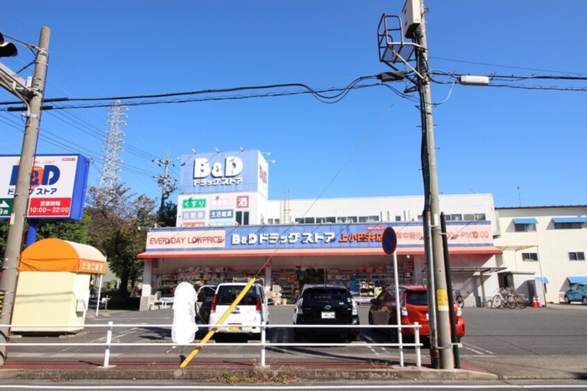 B＆D(ドラッグストア)まで650m フロースハイム