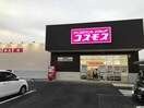 コスモス(ドラッグストア)まで94m A・City常滑原松