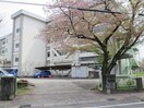 鳥居松小学校(小学校)まで676m Alii Ⅱ