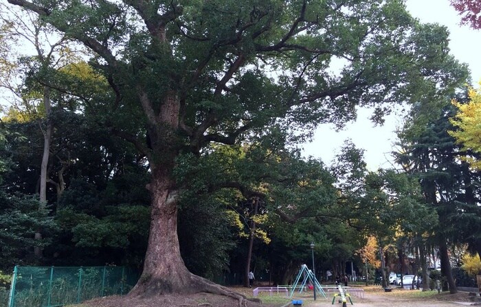 高蔵公園(公園)まで220m 西高蔵ビル