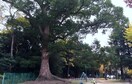 高蔵公園(公園)まで220m 西高蔵ビル